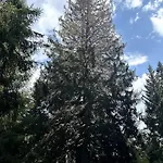 La Mansarda Di Laura A