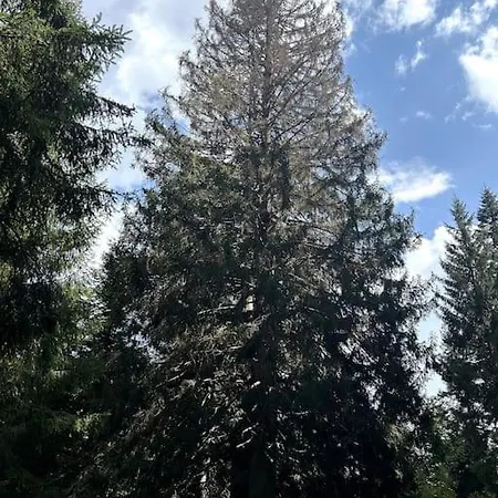 La Mansarda Di Laura A